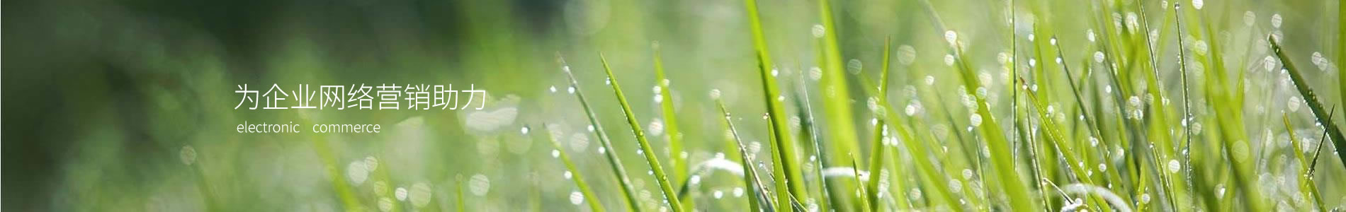 ӱ԰̻޹˾